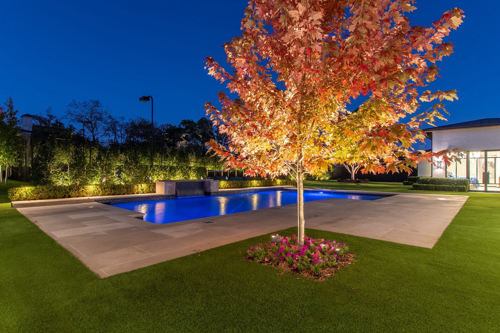Landscape lighting on a tree and backyard pool at night in Dallas-Fort Worth
