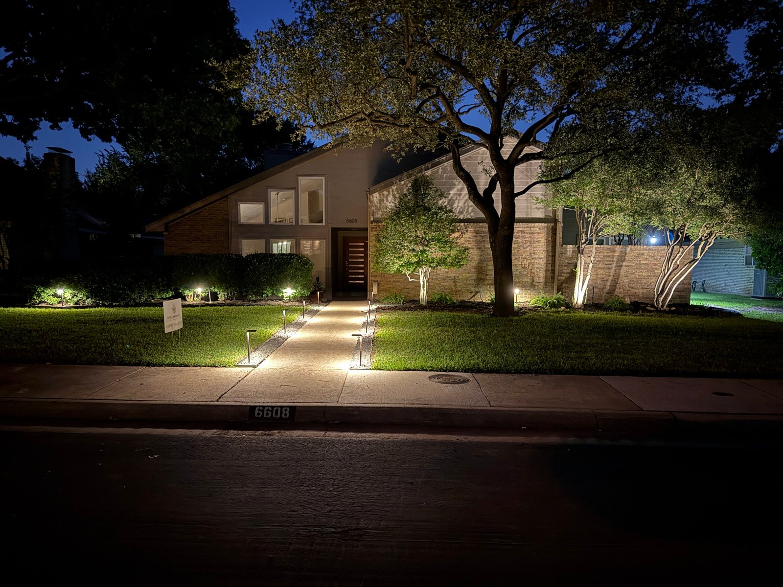 Path lights along a front walkway and an uplit tree at night
