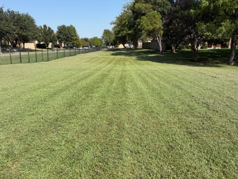 Maintained green lawn and landscaped commercial grounds