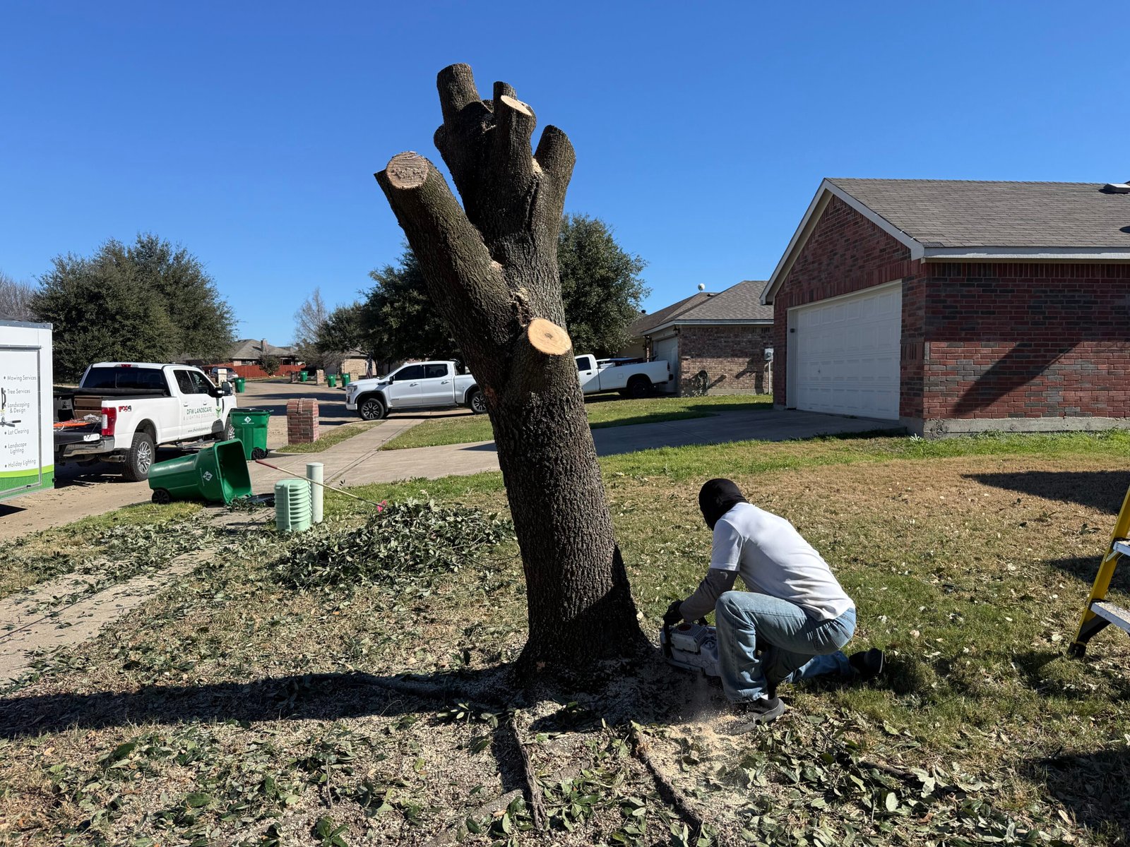 Crew member removing a tree stump in a front yard