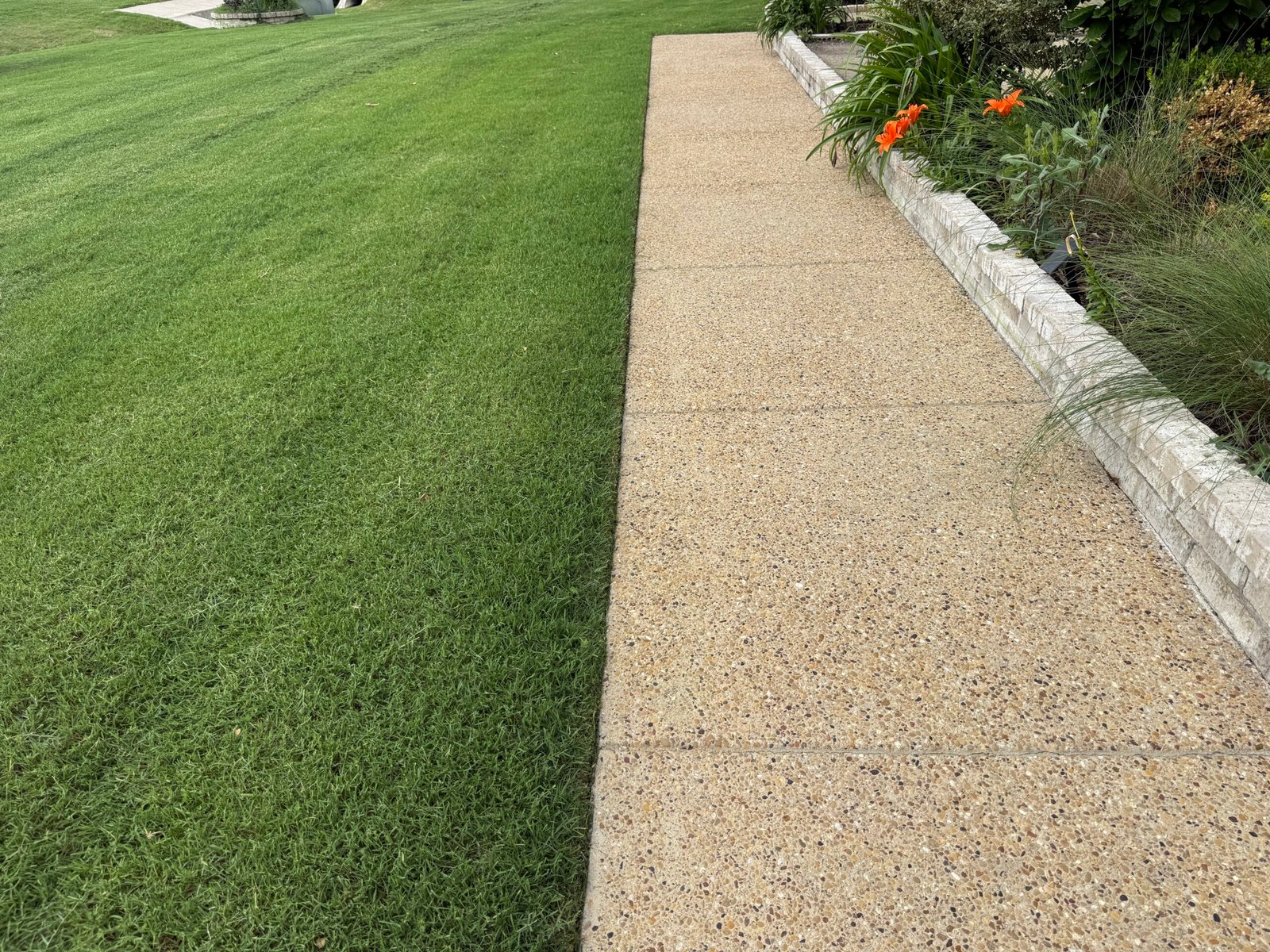 Sharply edged lawn beside an exposed aggregate walkway and flower bed