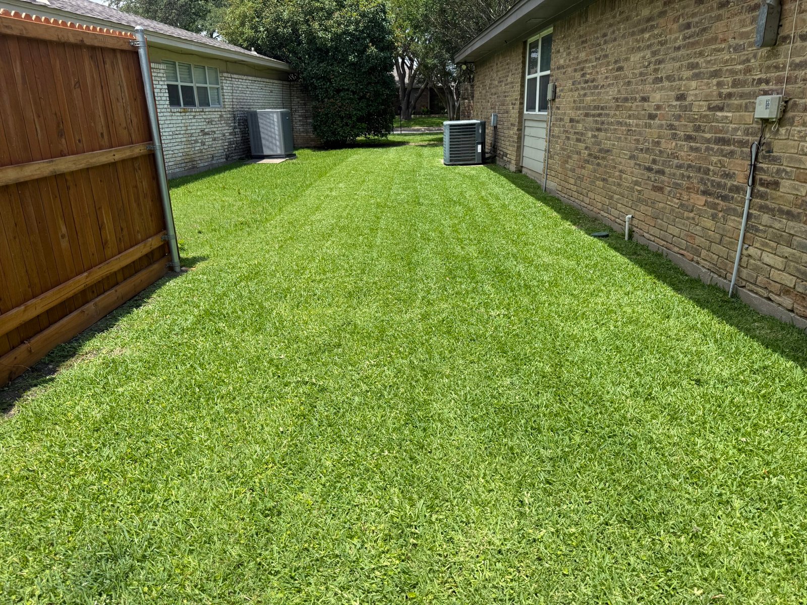 Freshly mowed lawn along the side yard of a brick home