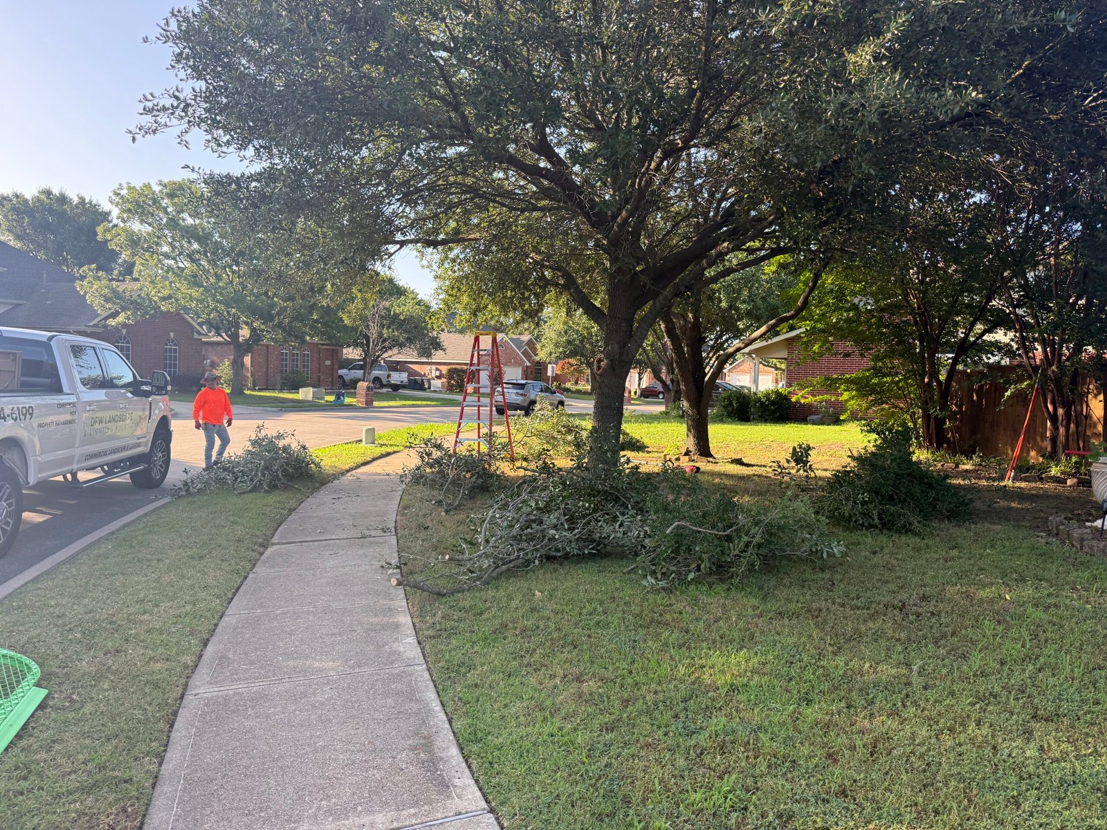 Shaded walkway through a well-kept lawn under mature trees