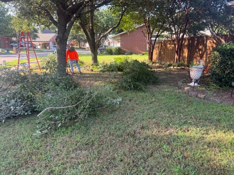 Tree trimming work and branches cleared from a residential yard
