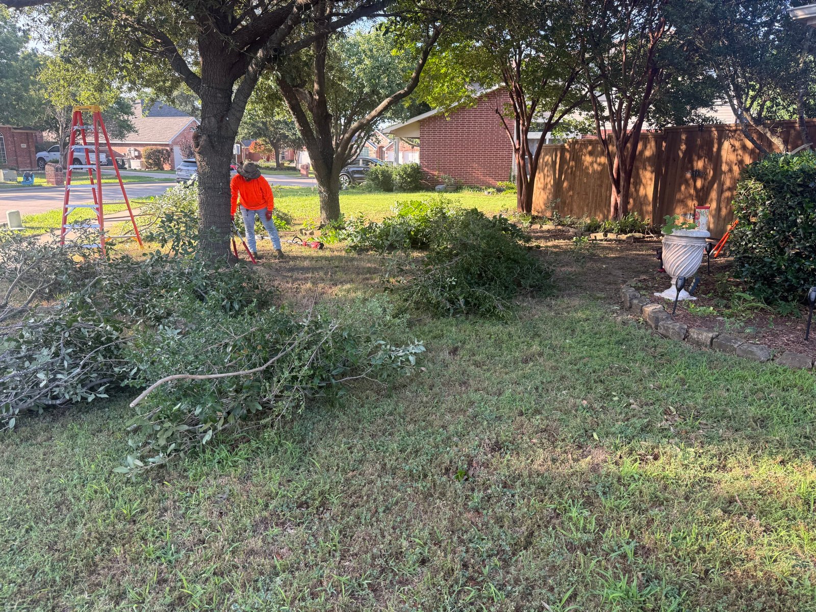 Tree trimming work and branches cleared from a residential yard
