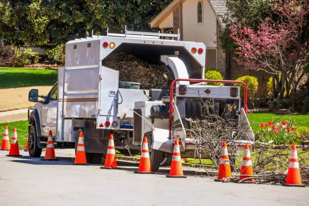 Tree service chipper truck and work zone during branch cleanup
