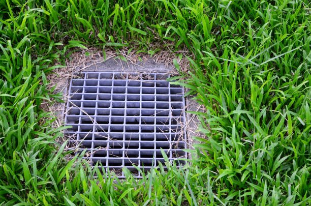 Drainage grate installed in a lawn to clear standing water
