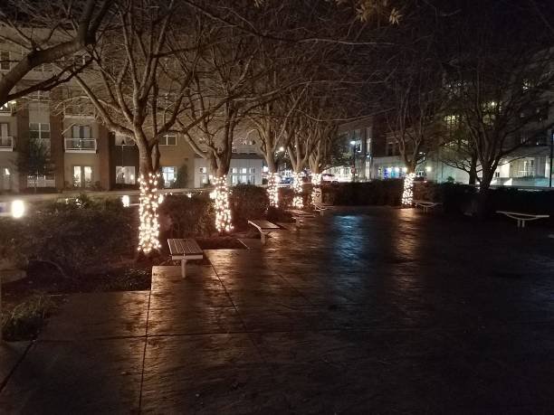 Tree trunks wrapped in holiday lights along a plaza walkway in downtown Garland